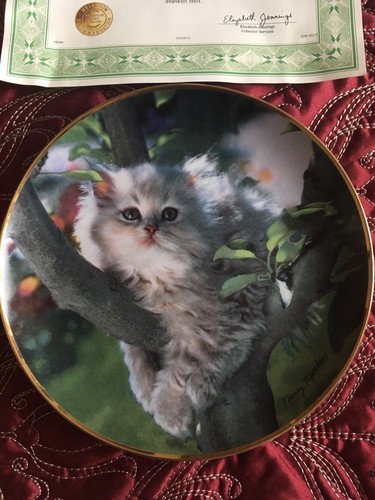 Franklin mint limited edition - franklin,